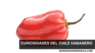 ¿Qué es el chile habanero? Más que un simple picante